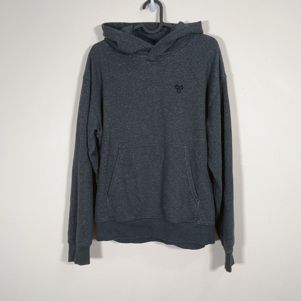 Aritzia charcoal gray hooded sweatshirt